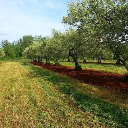 Nicely Decorated With Swimming Pool Βίλα
