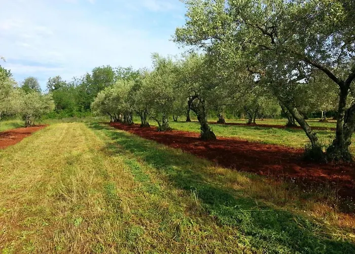 Nicely Decorated With Swimming Pool Вилла